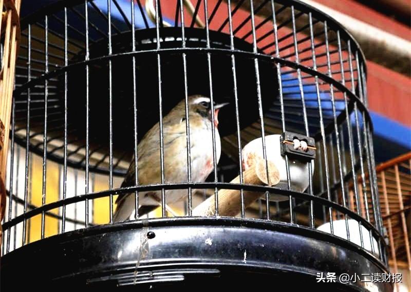 上海各大批发市场 建议收藏