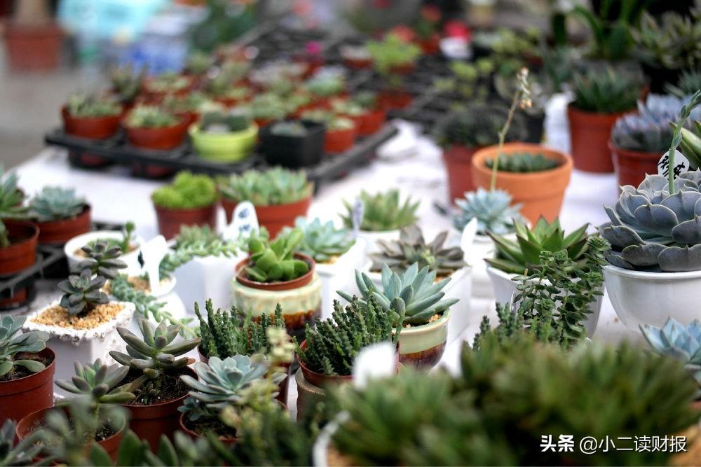 上海各大批发市场 建议收藏