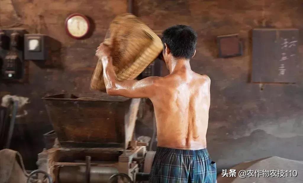 农村项目有哪些（农村最冷门的暴利行业）