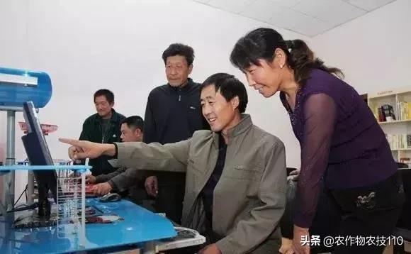 农村这9个创业项目,本钱少,有“钱途”,你钟意哪一个?
