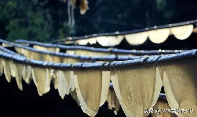 农村这9个创业项目,本钱少,有“钱途”,你钟意哪一个?