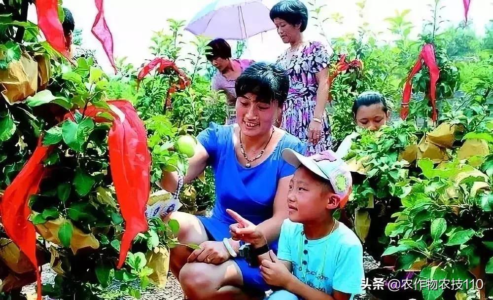 农村这9个创业项目,本钱少,有“钱途”,你钟意哪一个?