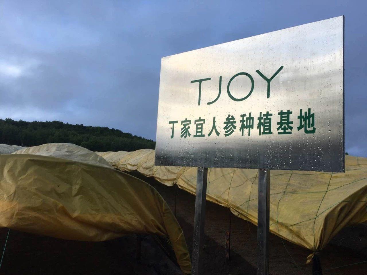 关注丨从一洗白到肌漾白,丁家宜靠什么再战美白市场?