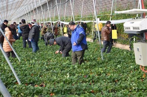 2021年做什么生意赚钱?这4大行业好好把握住比上班强