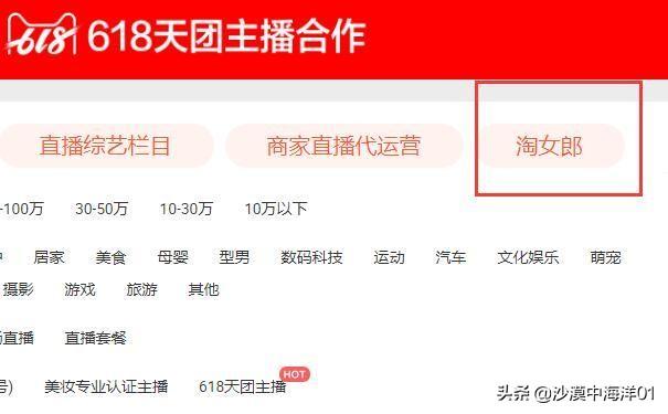 淘女郎的申请流程是什么?