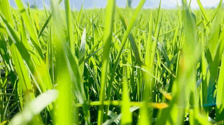 新手如何快速学会用手机拍短视频?长文总结(上)