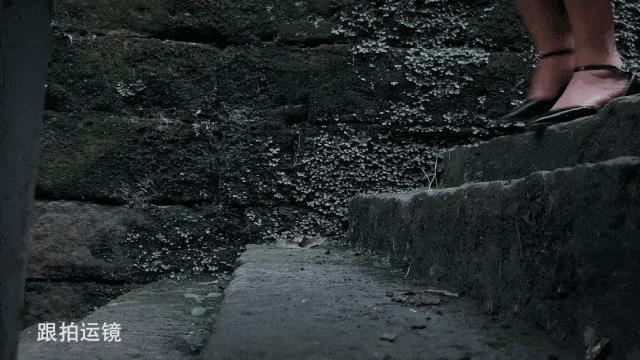 新手如何快速学会用手机拍短视频?长文总结(上)