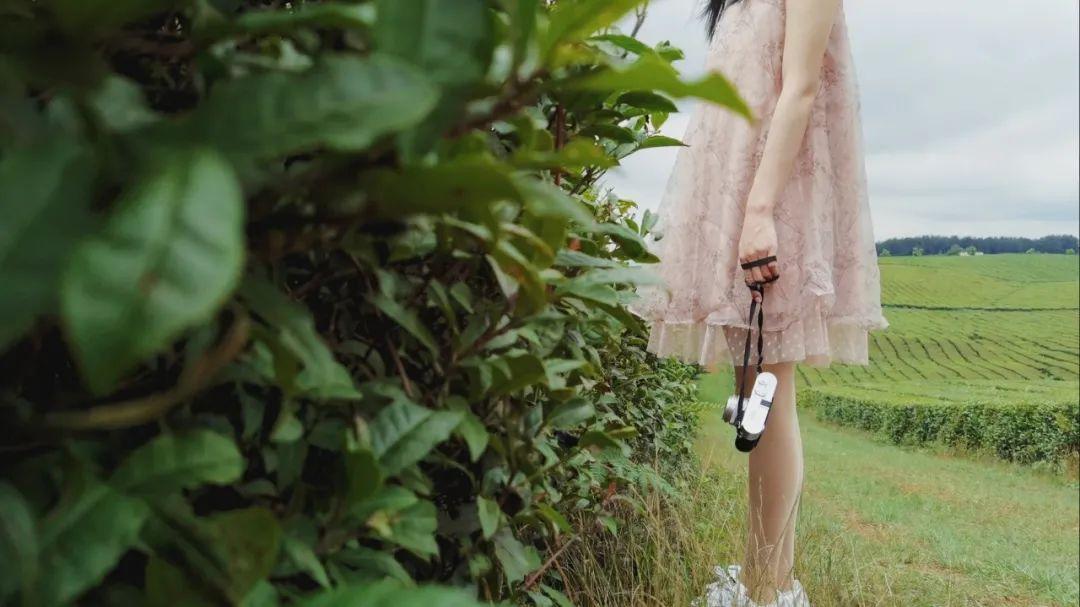 新手如何快速学会用手机拍短视频?长文总结(上)