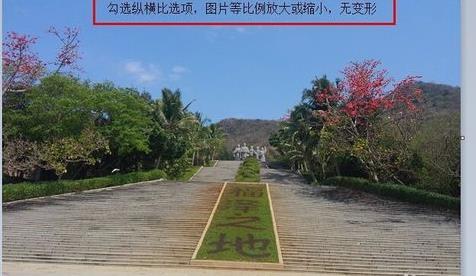 如何修改图片大小?改变图片大小的方法技巧