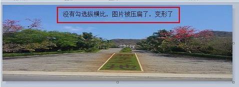 如何修改图片大小?改变图片大小的方法技巧