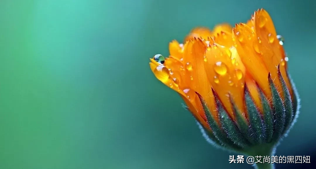 化妆品日常销售话术(珍藏版),不得不珍藏最后1项