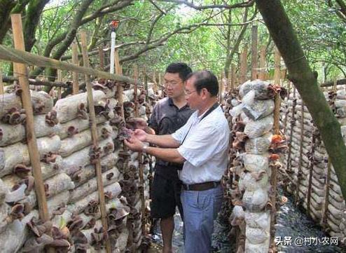 哪里有好致富项目投资（8个致富项目方法介绍）