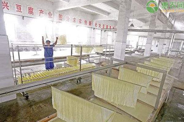 农村适合做什么加工厂比较好呢（不愁销路的小型加工厂）