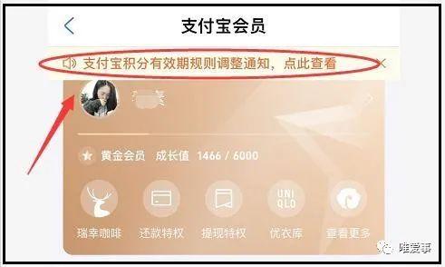 支付宝蚂蚁积分有什么用（蚂蚁积分详细用途介绍）