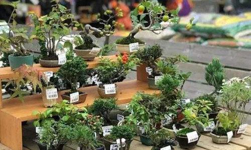 做生意难?这5个小生意不起眼,却很挣钱