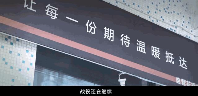 内容为虎,网络添翼,2020走心文案录收集ing