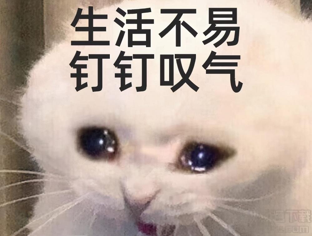 内容为虎,网络添翼,2020走心文案录收集ing