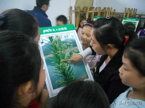 适合农民在家职业的7个小本创业,看没有适合你的?
