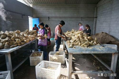 适合农民在家职业的7个小本创业,看没有适合你的?