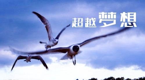 创业机会来源在哪里（2021创业项目排行榜）