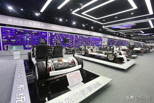 2021年学点什么技术好（学历低学什么技术最有前景）