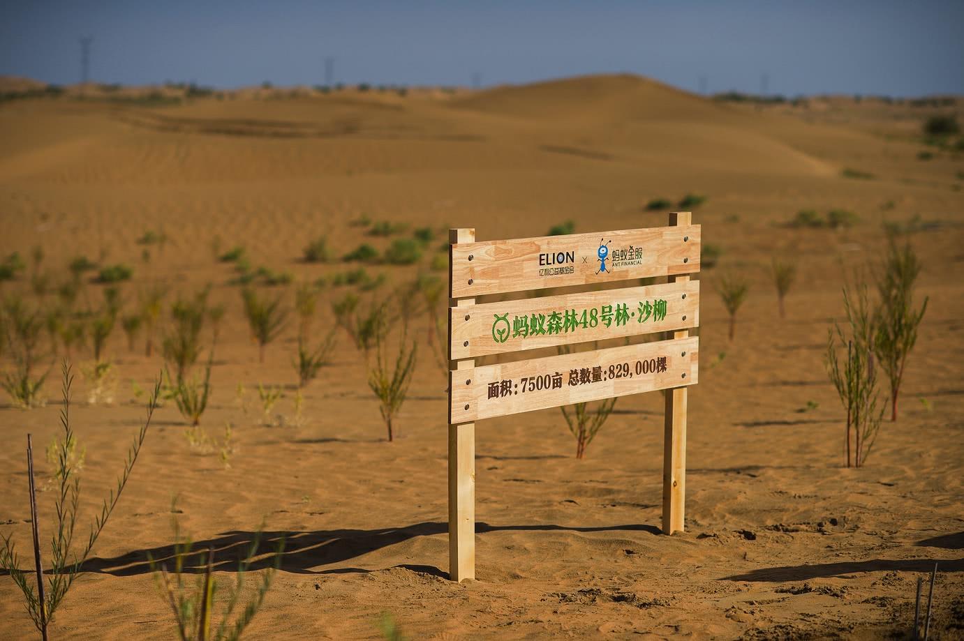 蚂蚁森林种树太慢?网友总结出7天种树速成指南!