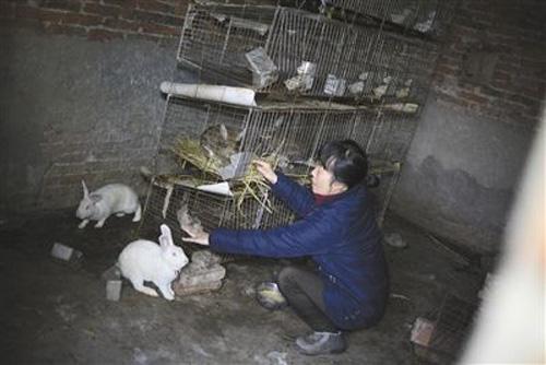 农村10个利润较高的项目,或许有一个能成为你的出路