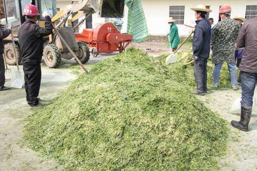 农村10个利润较高的项目,或许有一个能成为你的出路