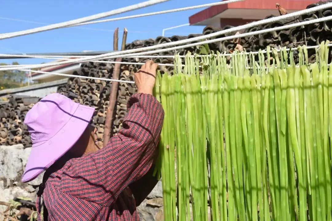 2021年种什么最赚钱?这三大品种亩收益高、前景好