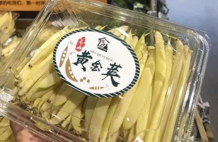 2021年种什么最赚钱?这三大品种亩收益高、前景好