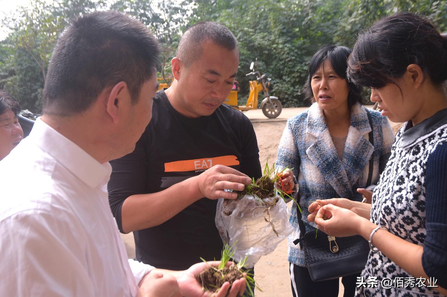 农村4种潜力行业,将是未来赚钱大热门,返乡创业可以考虑