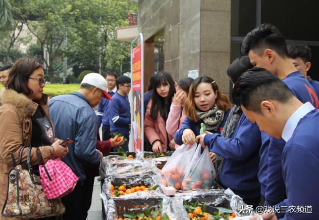 "躺着数钱"的4大行业,看起来"不起眼"!有人却年赚三四十万
