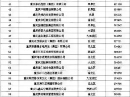 2021重庆市民营企业100强名单出炉