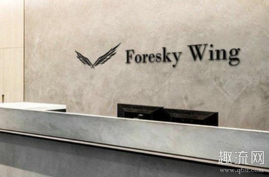 Foresky Wing这个牌子怎么样多少钱 森空之翼从哪能买到