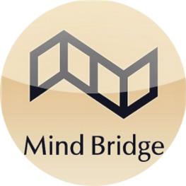 Mind Bridge是什么品牌 Mind Bridge价格怎么样