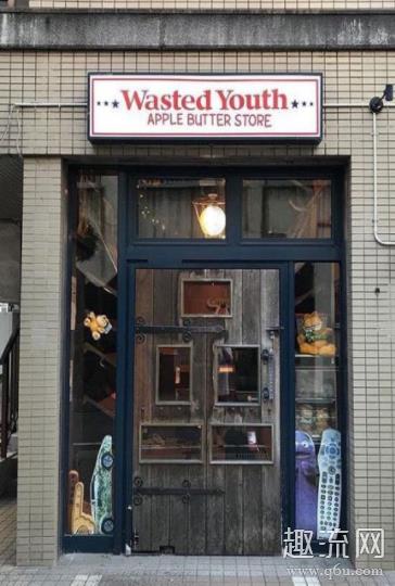 Wasted Youth是什么牌子 Wasted Youth是什么档次