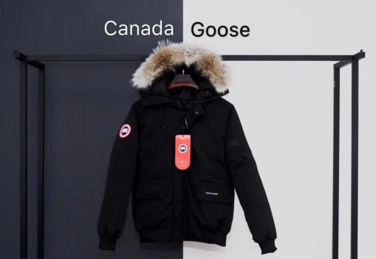 加拿大鹅是什么品牌 加拿大鹅鸭绒为什么那么贵