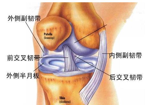 膝盖受伤怎么恢复 膝盖疼痛的恢复训练