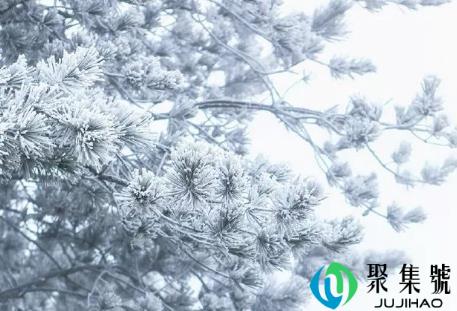 2022年1月武汉会下雪吗(武汉今年冬天会不会下雪)