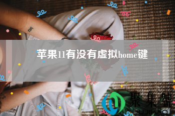 苹果11有没有虚拟home键 苹果11怎么调出虚拟home键