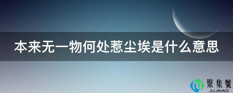 原来无一物何处惹尘埃是什么意思