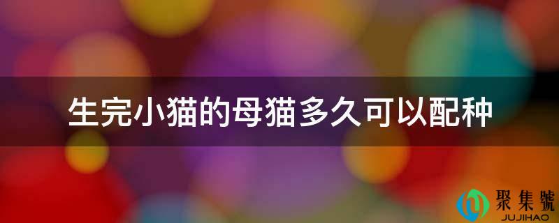 生完小猫的母猫多久能够配种