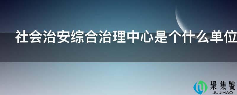 社会治安综合治理中心是个什么单元