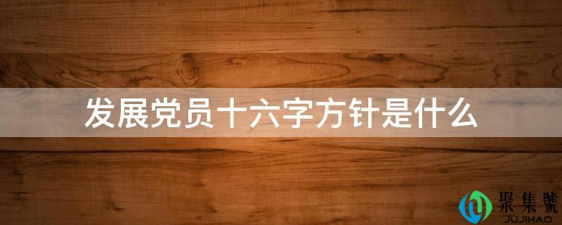 开展党员十六字方针是什么