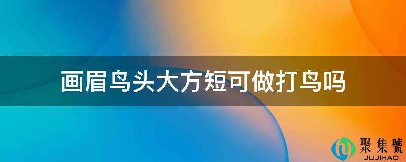 画眉鸟头大方短可做打鸟吗