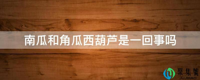 南瓜和角瓜西葫芦是一回事吗