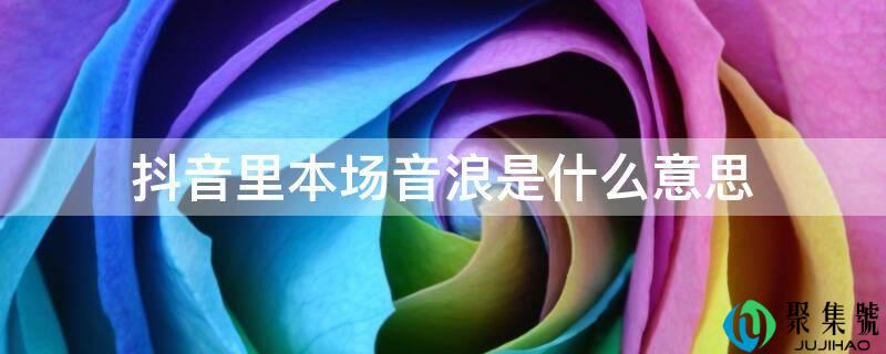 抖音里本场音浪是什么意思