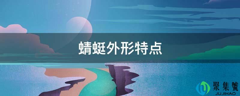 蜻蜓外形特点