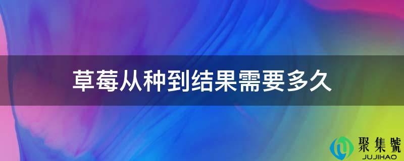草莓从种到成果需要多久