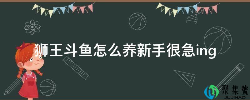 狮王斗鱼怎么养新手很急ing